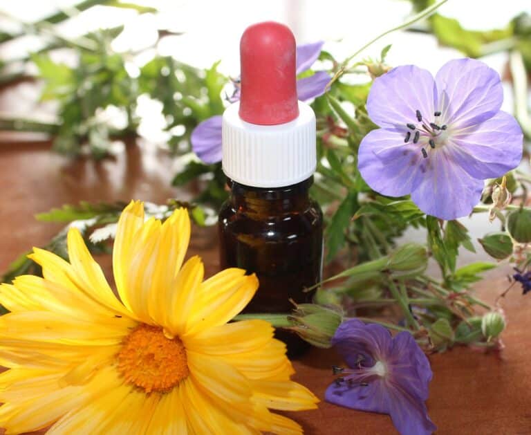 natural medicine, flower essences, natural-1738161.jpg